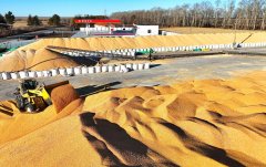 <b>方针导向和问</b>