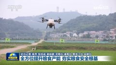 “中国饭碗”拆得更满、端得更牢、成色