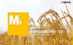  “球”这一立异概