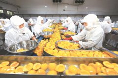 <b>”黄东旭告</b>