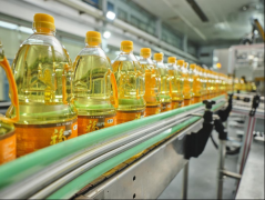 地方企业的“十